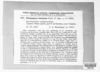 Image Associated With the Occurence